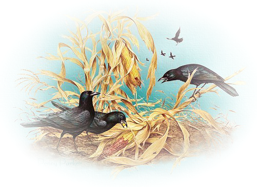 Paisajes con animales png