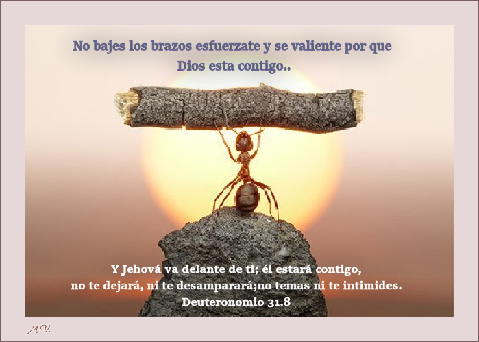 http://fuentedevida.f.u.pic.centerblog.net/o/ae7e5e2d.png