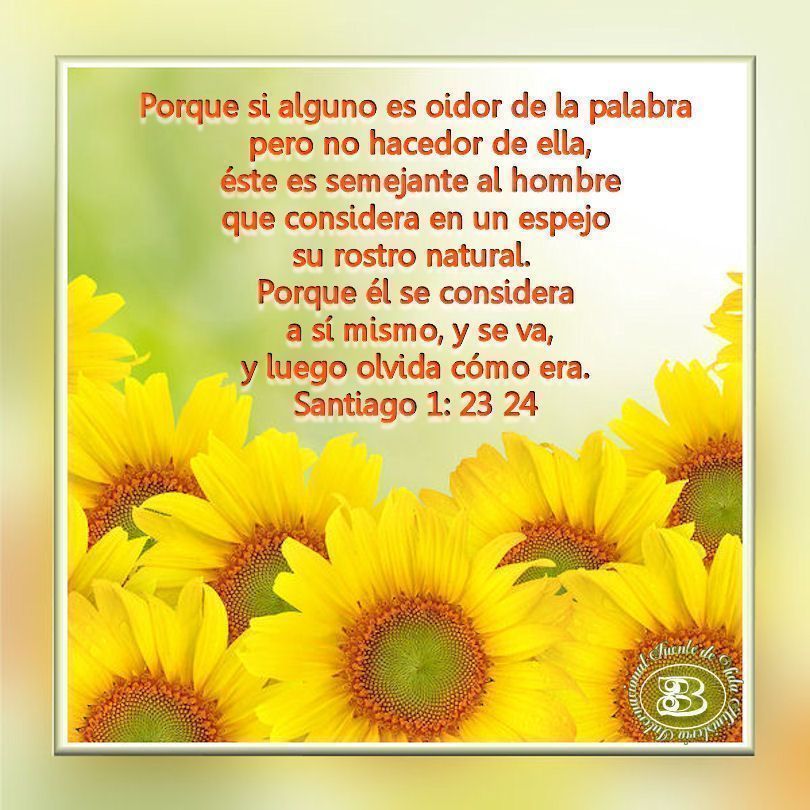 http://fuentedevida.f.u.pic.centerblog.net/o/dae9b36c.jpg